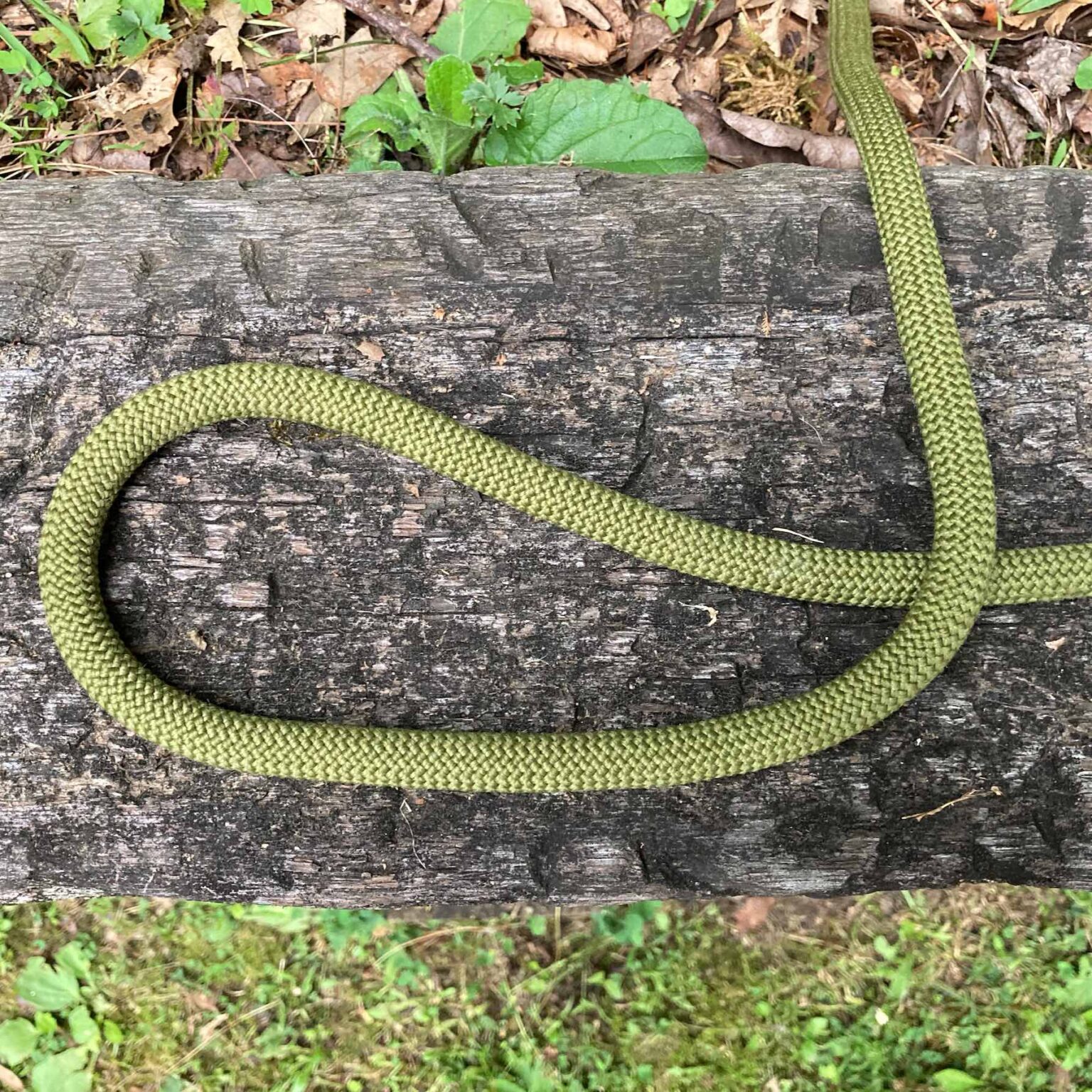 Know a Knot! The Scaffold Knot - Swift | Silent | Deadly