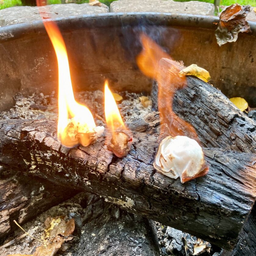 The Pathfinder School Campfire Survival Cooking Kit