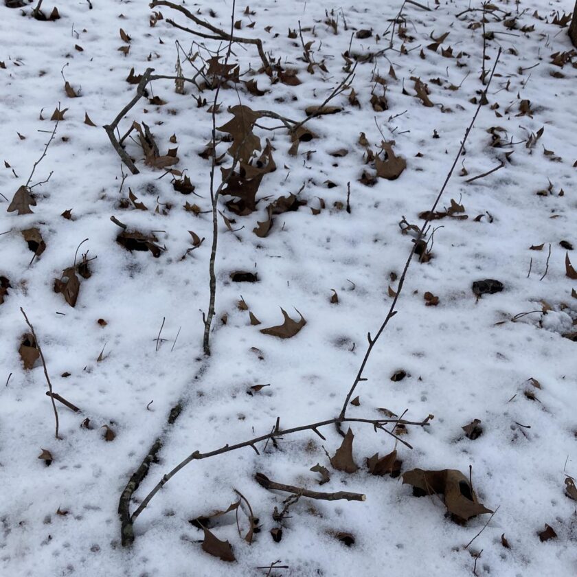 Kindling large branch handle magnifying glass