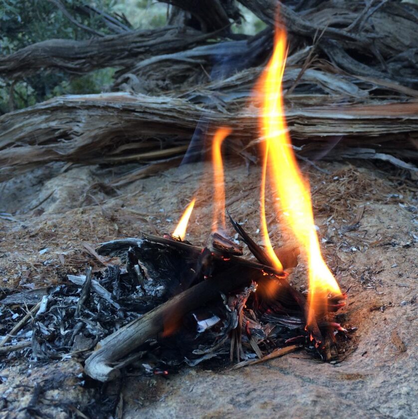 The Easiest Way to Tighten the Rope Between the Trees - Building a Shelter  - Outdoor Wilderness Tips 