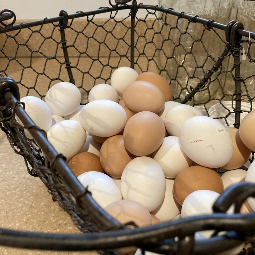 Farm Fresh Eggs - Storage and Cleaning 