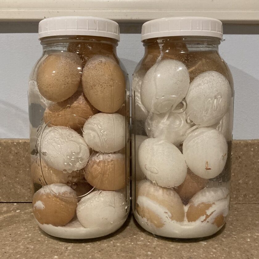 long-term storage of eggs