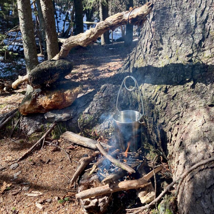 Bushcraft shelter built in the middle of a pine tree forest