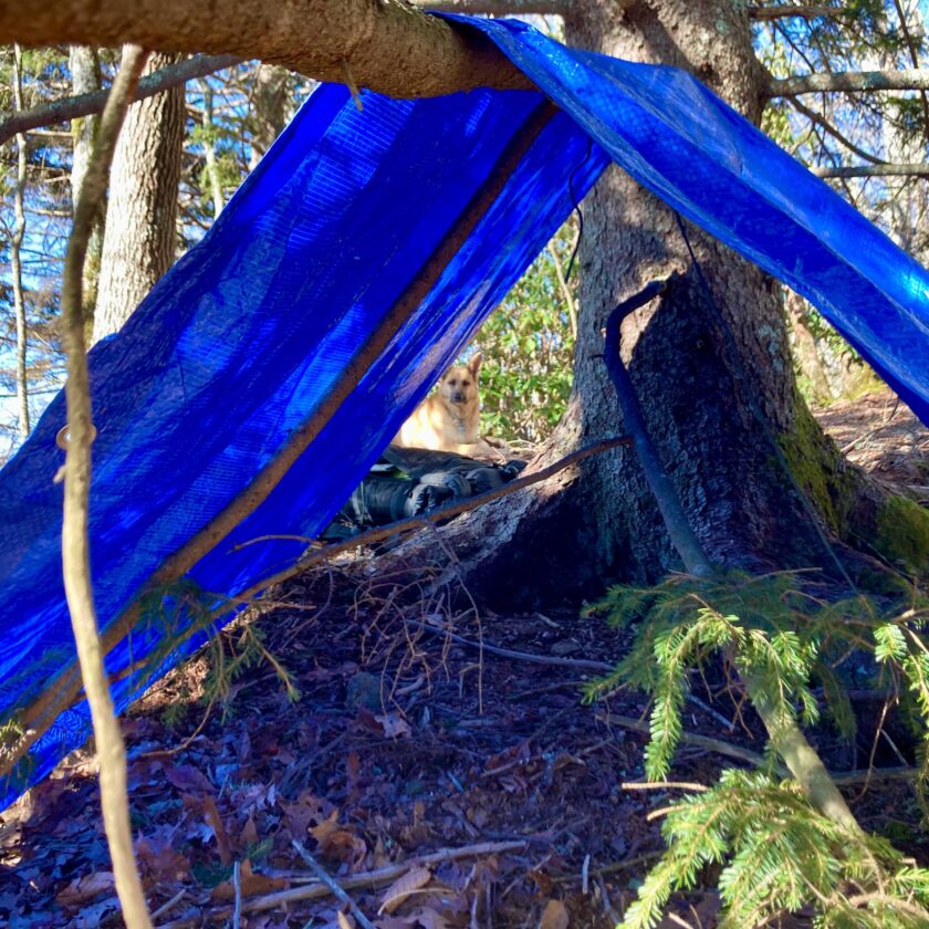 Bush craft bed set up.A tarp will be used for shelter.