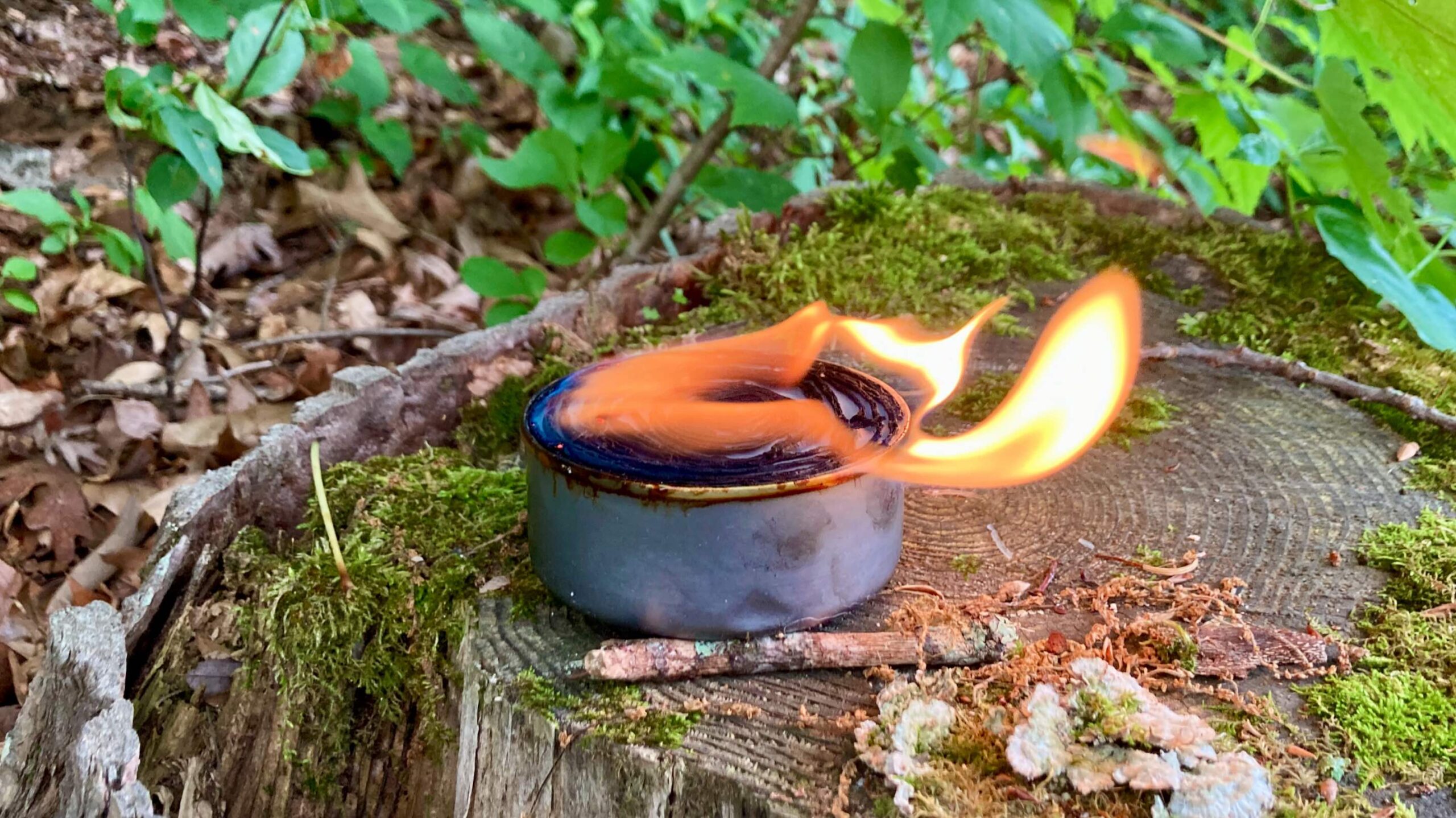 Survival Candle / Stove
